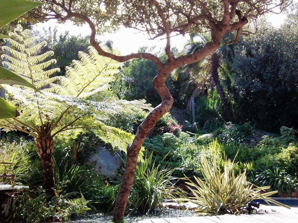 Hout Bay Hideaway 호텔 외부 사진
