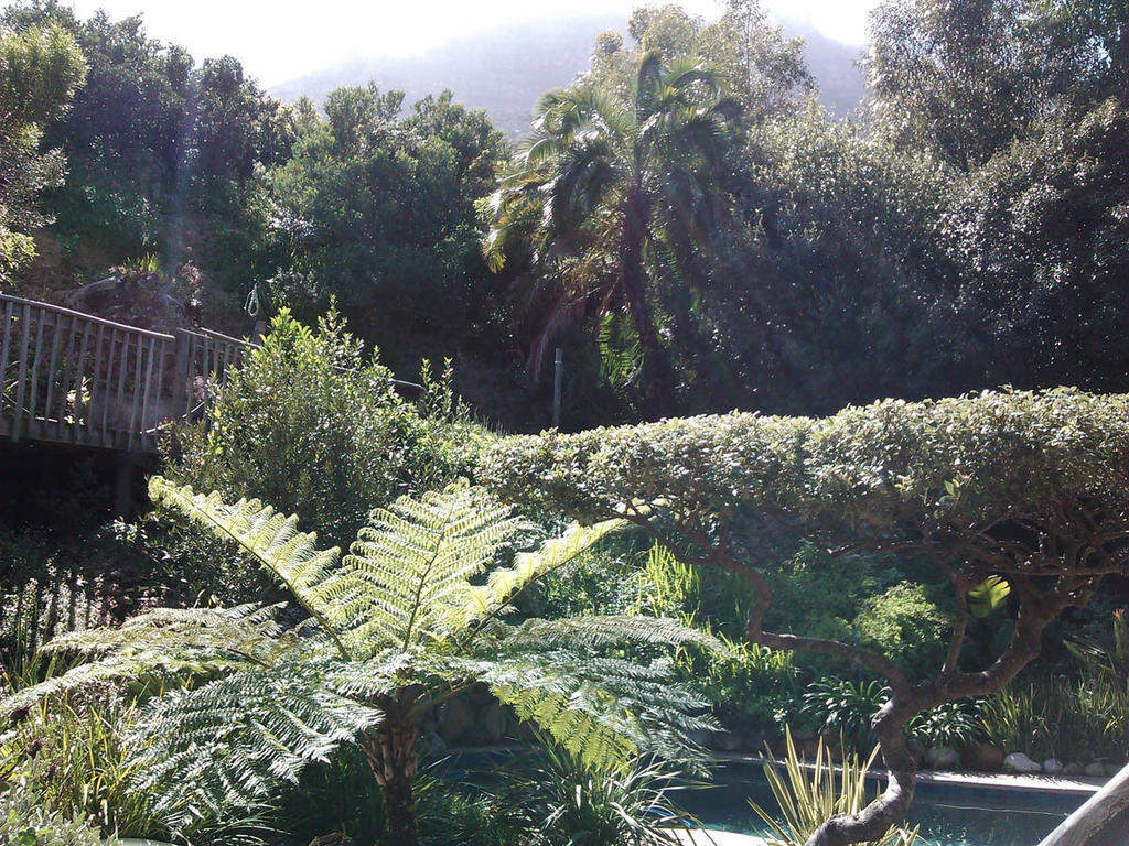 Hout Bay Hideaway 호텔 객실 사진